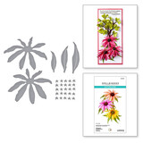 Spellbinders Summer Solstice Echinacea Dies (S4-1437)