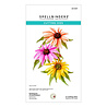 Spellbinders PRE-ORDER Summer Solstice Echinacea Dies (S4-1437) Spellbinders PRE-ORDER Summer Solstice Echinacea Dies (S4-1437)