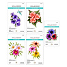 Spellbinders PRE-ORDER Summer Solstice Die Bundle (BD-0961) Spellbinders PRE-ORDER Summer Solstice Die Bundle (BD-0961)