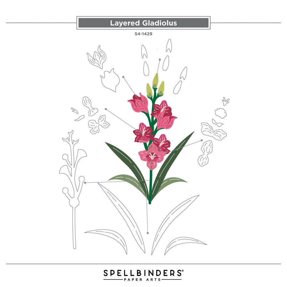 Spellbinders Wildflowers Layered Gladiolus Dies (S4-1429) Spellbinders Wildflowers Layered Gladiolus Dies (S4-1429)