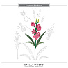 Spellbinders PRE-ORDER Wildflowers Layered Gladiolus Dies (S4-1429) Spellbinders PRE-ORDER Wildflowers Layered Gladiolus Dies (S4-1429)