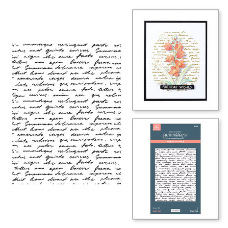 Spellbinders Wildflowers Script Tekst Press Plate (BP-287) Spellbinders Wildflowers Script Tekst Press Plate (BP-287)