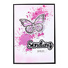 Spellbinders PRE-ORDER Wildflowers Splatters Press Plate (BP-288) Spellbinders PRE-ORDER Wildflowers Splatters Press Plate (BP-288)
