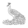 Crafter's Companion Graceful Plumes Stamp & Die Proud Peacock (GP-STD-PRPE) Crafter's Companion Graceful Plumes Stamp & Die Proud Peacock (GP-STD-PRPE)