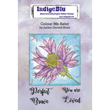 IndigoBlu Colour Me Aster A6 Rubber Stamps (IND0746)