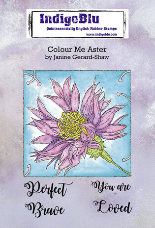 IndigoBlu Colour Me Aster A6 Rubber Stamps (IND0746) IndigoBlu Colour Me Aster A6 Rubber Stamps (IND0746)