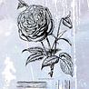 IndigoBlu Old Rose Rubber Stamp (IND0599) IndigoBlu Old Rose Rubber Stamp (IND0599)