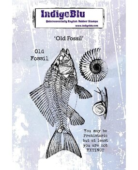 IndigoBlu Old Fossil A6 Rubber Stamp (IND0595) IndigoBlu Old Fossil A6 Rubber Stamp (IND0595)