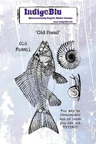 IndigoBlu Old Fossil A6 Rubber Stamp (IND0595) IndigoBlu Old Fossil A6 Rubber Stamp (IND0595)