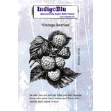 IndigoBlu Vintage Berries A6 Rubber Stamp (IND0578)