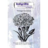 IndigoBlu Vintage Carnation A6 Rubber Stamps (IND0587)
