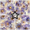 Paper Favourites Alcohol Ink Flowers 12x12 Inch Paper Pad (PF736) Paper Favourites Alcohol Ink Flowers 12x12 Inch Paper Pad (PF736)