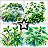 Paper Favourites Herbs 6x6 Inch Paper Pad (PF537) Paper Favourites Herbs 6x6 Inch Paper Pad (PF537)
