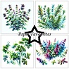 Paper Favourites Herbs 6x6 Inch Paper Pad (PF537) Paper Favourites Herbs 6x6 Inch Paper Pad (PF537)