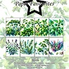 Paper Favourites Herbs A6 Paper Pad (PFA578) Paper Favourites Herbs A6 Paper Pad (PFA578)