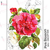 Dress My Craft Transfer Me Pink Blossom (DMCDP1806) (OUTLET) Dress My Craft Transfer Me Pink Blossom (DMCDP1806) (OUTLET)