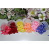 Dress My Craft Sequins Family Pack 12x8g (DMCS3371) (OUTLET) Dress My Craft Sequins Family Pack 12x8g (DMCS3371) (OUTLET)