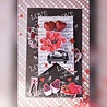 Dress My Craft For You Always Collection Kit (DMCP2146) (OUTLET) Dress My Craft For You Always Collection Kit (DMCP2146) (OUTLET)