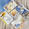 Dress My Craft Tippy Tippy Tap Collection Kit (DMCP5952) (OUTLET) Dress My Craft Tippy Tippy Tap Collection Kit (DMCP5952) (OUTLET)