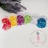 Dress My Craft Sequins Family Pack Butterfly 6x8g (DMCS4702) (OUTLET) Dress My Craft Sequins Family Pack Butterfly 6x8g (DMCS4702) (OUTLET)