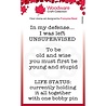 Woodware Life Status Clear Stamp (FRM018) (OUTLET) Woodware Life Status Clear Stamp (FRM018) (OUTLET)