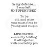 Woodware Life Status Clear Stamp (FRM018) (OUTLET) Woodware Life Status Clear Stamp (FRM018) (OUTLET)