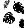 Woodware House Plant Leaves Clear Stamp (FRS416) (OUTLET) Woodware House Plant Leaves Clear Stamp (FRS416) (OUTLET)