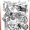 Woodware B is For Butterfly Clear Stamps (FRS991) (OUTLET) Woodware B is For Butterfly Clear Stamps (FRS991) (OUTLET)