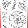 Woodware Arrange Me Clear Stamps (JGS825) (OUTLET) Woodware Arrange Me Clear Stamps (JGS825) (OUTLET)