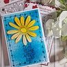 Woodware Petal Doodles With Love Clear Stamps (JGS859) (OUTLET) Woodware Petal Doodles With Love Clear Stamps (JGS859) (OUTLET)