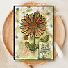 Woodware Petal Doodles With Love Clear Stamps (JGS859) (OUTLET) Woodware Petal Doodles With Love Clear Stamps (JGS859) (OUTLET)