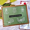 Woodware Bug Doodles Clear Stamps (JGS865) (OUTLET) Woodware Bug Doodles Clear Stamps (JGS865) (OUTLET)