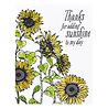Spellbinders Sunflower Field Press Plate (BP-094) (OUTLET) Spellbinders Sunflower Field Press Plate (BP-094) (OUTLET)