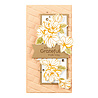 Spellbinders Spring Magnolias Press Plate & Die Set (BP-157) (OUTLET) Spellbinders Spring Magnolias Press Plate & Die Set (BP-157) (OUTLET)