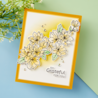 Spellbinders Spring Magnolias Press Plate & Die Set (BP-157) (OUTLET) Spellbinders Spring Magnolias Press Plate & Die Set (BP-157) (OUTLET)