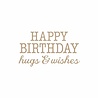 Spellbinders Birthday Hugs & Wishes Hot Foil Plate (GLP-144) (OUTLET) Spellbinders Birthday Hugs & Wishes Hot Foil Plate (GLP-144) (OUTLET)