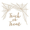 Spellbinders Spider Web Background Glimmer Hot Foil Plates (GLP-208) (OUTLET) Spellbinders Spider Web Background Glimmer Hot Foil Plates (GLP-208) (OUTLET)