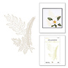 Spellbinders Glimmer Ferns Glimmer Hot Foil Plate (GLP-378) (OUTLET) Spellbinders Glimmer Ferns Glimmer Hot Foil Plate (GLP-378) (OUTLET)