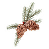 Spellbinders Pine Cone and Evergreen Bough with Ladybugs Etched Dies (S4-1112) (OUTLET) Spellbinders Pine Cone and Evergreen Bough with Ladybugs Etched Dies (S4-1112) (OUTLET)