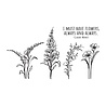 Spellbinders Floral Beauties Clear Stamps (STP-030) (OUTLET) Spellbinders Floral Beauties Clear Stamps (STP-030) (OUTLET)