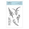 Spellbinders Floral Beauties Clear Stamps (STP-030) (OUTLET) Spellbinders Floral Beauties Clear Stamps (STP-030) (OUTLET)