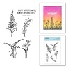 Spellbinders Floral Beauties Clear Stamps (STP-030) (OUTLET) Spellbinders Floral Beauties Clear Stamps (STP-030) (OUTLET)