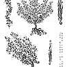 Katkin Krafts Winds Of Change A5 Clear Stamp Set (KK0027) (OUTLET) Katkin Krafts Winds Of Change A5 Clear Stamp Set (KK0027) (OUTLET)