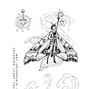 Katkin Krafts Sphinx A5 Clear Stamp Set (KK0030) (OUTLET) Katkin Krafts Sphinx A5 Clear Stamp Set (KK0030) (OUTLET)