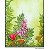 Katkin Krafts Ferns and Fungi A5 Clear Stamp Set (KK0031) (OUTLET) Katkin Krafts Ferns and Fungi A5 Clear Stamp Set (KK0031) (OUTLET)