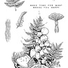 Katkin Krafts Ferns and Fungi A5 Clear Stamp Set (KK0031) (OUTLET) Katkin Krafts Ferns and Fungi A5 Clear Stamp Set (KK0031) (OUTLET)