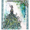 Katkin Krafts Picturesque Peacock A5 Clear Stamp Set (KK0034) (OUTLET) Katkin Krafts Picturesque Peacock A5 Clear Stamp Set (KK0034) (OUTLET)