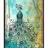 Katkin Krafts Picturesque Peacock A5 Clear Stamp Set (KK0034) (OUTLET) Katkin Krafts Picturesque Peacock A5 Clear Stamp Set (KK0034) (OUTLET)