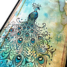 Katkin Krafts Picturesque Peacock A5 Clear Stamp Set (KK0034) (OUTLET) Katkin Krafts Picturesque Peacock A5 Clear Stamp Set (KK0034) (OUTLET)