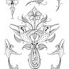 Katkin Krafts Hummingbird A5 Clear Stamp Set (KK0035) (OUTLET) Katkin Krafts Hummingbird A5 Clear Stamp Set (KK0035) (OUTLET)